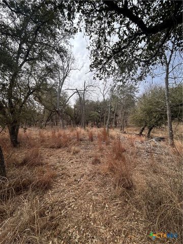 13203 Private RD 3642 Road, Lampasas, TX 76550