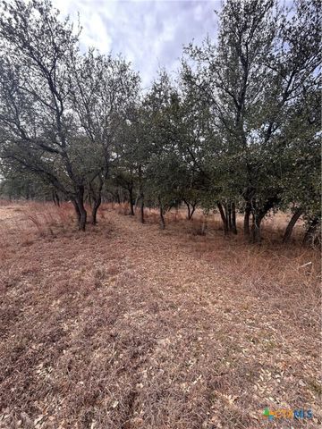 13203 Private RD 3642 Road, Lampasas, TX 76550