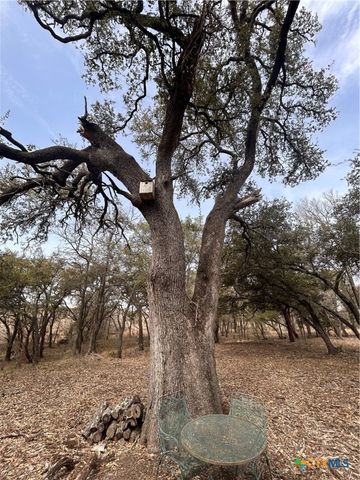 13203 Private RD 3642 Road, Lampasas, TX 76550