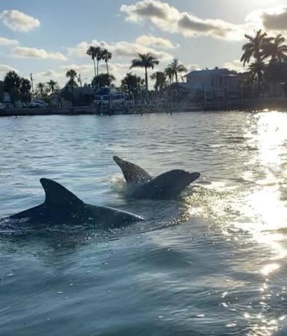 7 EAGLE LANE, Palm Harbor, FL 34683