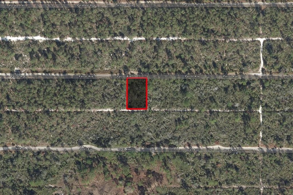 533 PARROT AVENUE, Sebring, FL 33872