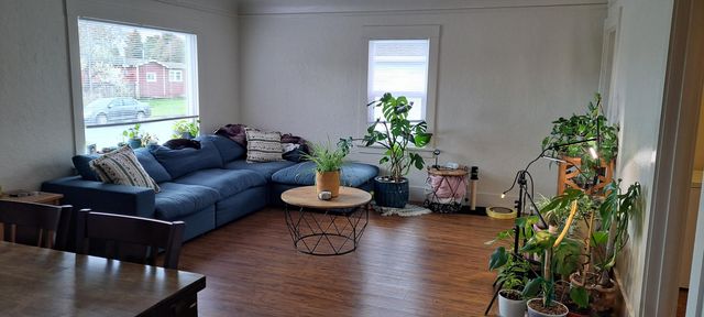 2535 Todd Court, Arcata, CA 95521