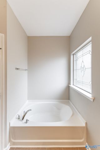 13767 Glendorch Lane, Athens, AL 35613