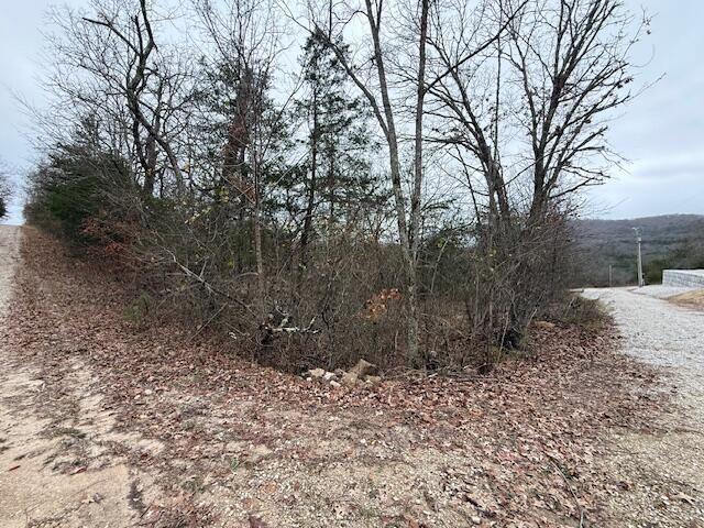 0 Linden Lane, Shell Knob, MO 65747