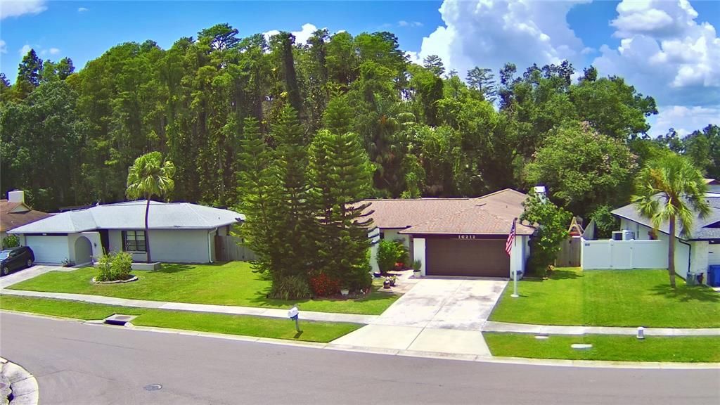 16212 OAKMANOR DR, Tampa, FL 33624