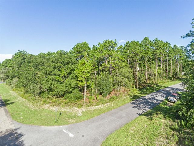 6670 N NANTUCKET WAY, Citrus Springs, FL 34434