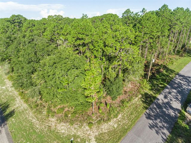 6670 N NANTUCKET WAY, Citrus Springs, FL 34434