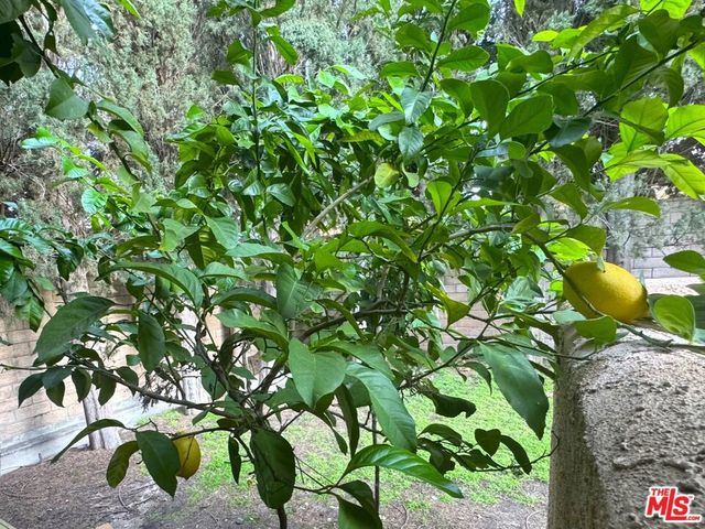 19928 Chase Street 27, Winnetka, CA 91306