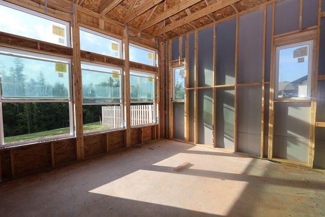 2009 Lobo Court, Todd Mission, TX 77316