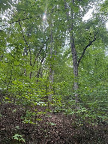 TRACT 4 Morgan Ridge Drive, Young Harris, GA 30582