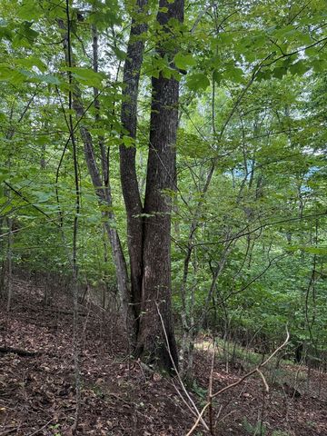 TRACT 4 Morgan Ridge Drive, Young Harris, GA 30582