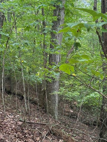 TRACT 4 Morgan Ridge Drive, Young Harris, GA 30582