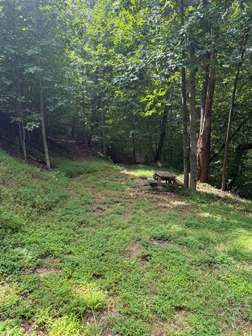 TRACT 4 Morgan Ridge Drive, Young Harris, GA 30582