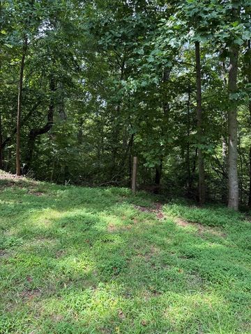 TRACT 4 Morgan Ridge Drive, Young Harris, GA 30582