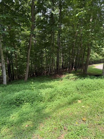 TRACT 4 Morgan Ridge Drive, Young Harris, GA 30582