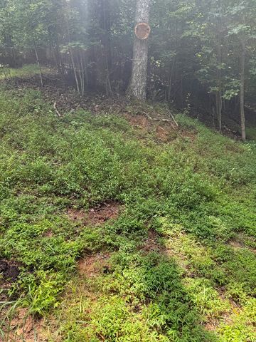 TRACT 4 Morgan Ridge Drive, Young Harris, GA 30582