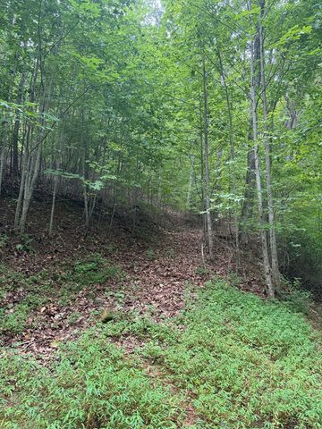 TRACT 4 Morgan Ridge Drive, Young Harris, GA 30582