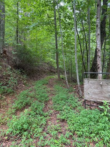 TRACT 4 Morgan Ridge Drive, Young Harris, GA 30582