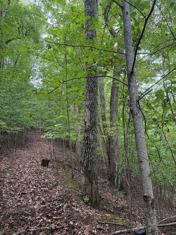 TRACT 4 Morgan Ridge Drive, Young Harris, GA 30582