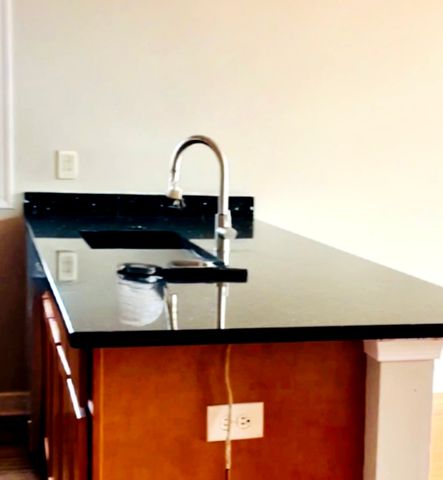 214 W 31St Street 1E, Chicago, IL 60616