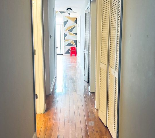 214 W 31St Street 1E, Chicago, IL 60616