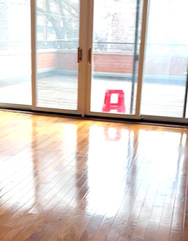 214 W 31St Street 1E, Chicago, IL 60616