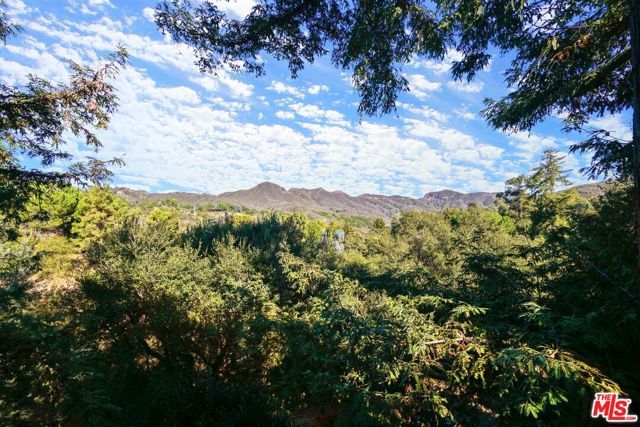 730 Basin Drive, Topanga (los Angeles), CA 90290