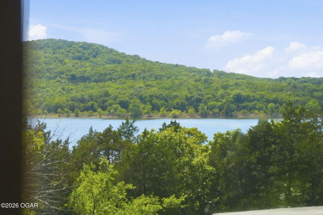 174 Lunker Bass Lane, Shell Knob, MO 65747