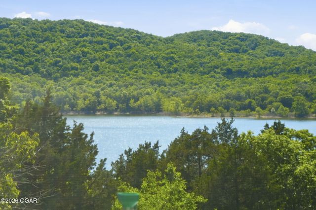 174 Lunker Bass Lane, Shell Knob, MO 65747