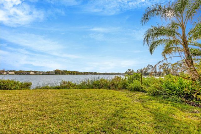 7201 HODGEWOOD CT COURT, Tampa, FL 33614