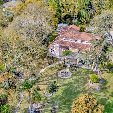 7201 HODGEWOOD CT COURT, Tampa, FL 33614