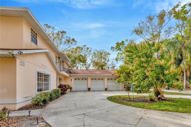 7201 HODGEWOOD CT COURT, Tampa, FL 33614