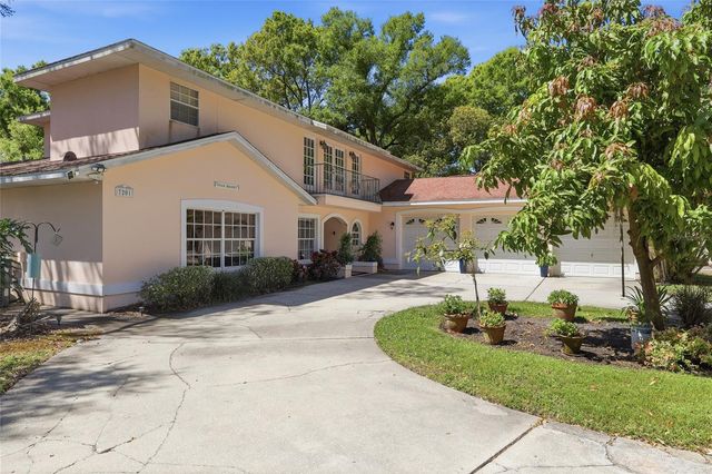 7201 HODGEWOOD COURT, Tampa, FL 33614