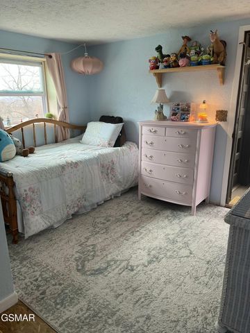 891 Tolley Hollow Road, Newport, TN 37821