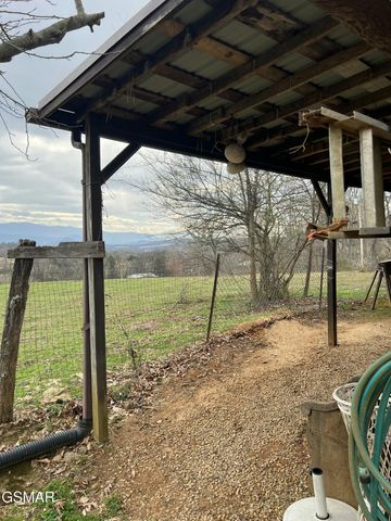 891 Tolley Hollow Road, Newport, TN 37821