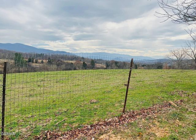 891 Tolley Hollow Road, Newport, TN 37821