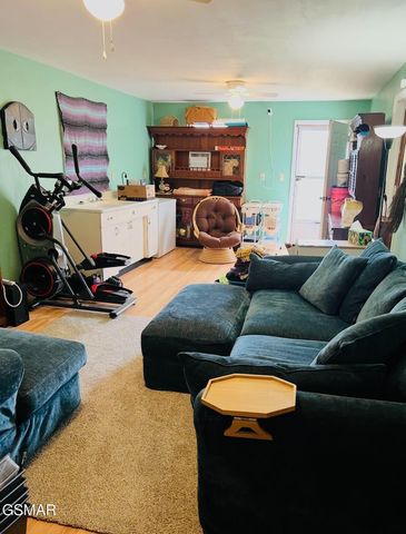 891 Tolley Hollow Road, Newport, TN 37821