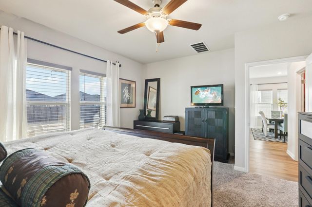 415 Osier PASS, Hutto, TX 78634