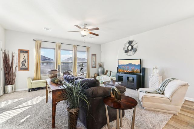 415 Osier PASS, Hutto, TX 78634