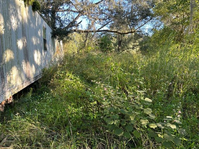 39249 LIZABETH CIRCLE, Zephyrhills, FL 33542