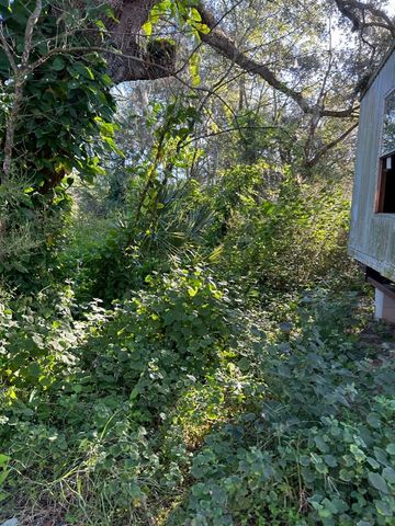 39249 LIZABETH CIRCLE, Zephyrhills, FL 33542