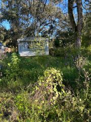 39249 LIZABETH CIRCLE, Zephyrhills, FL 33542