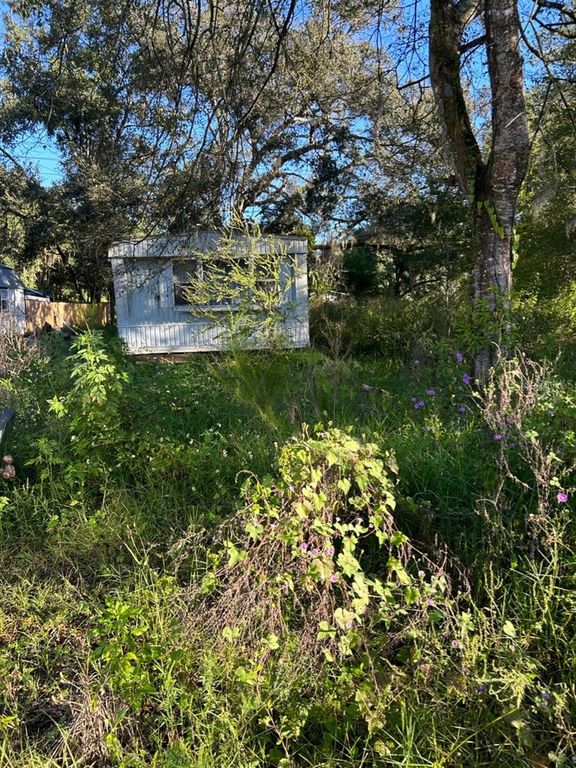 39249 LIZABETH CIRCLE, Zephyrhills, FL 33542