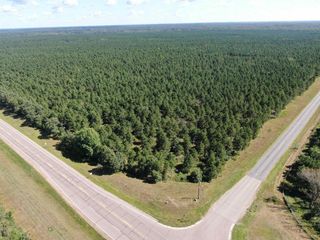 37 AC State Highway 13 Acres, Nekoosa, WI 54457