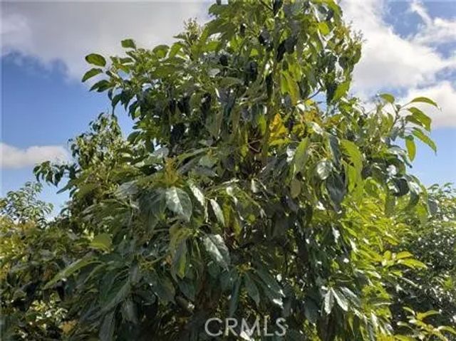 43520 Calle Colina, Temecula, CA 92590