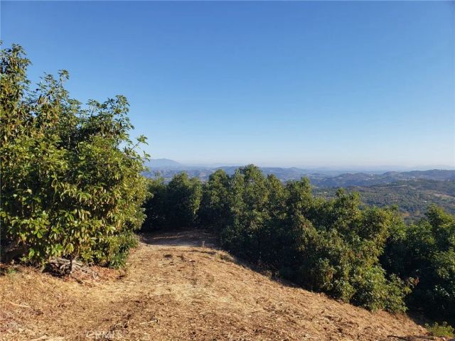 43520 Calle Colina, Temecula, CA 92590