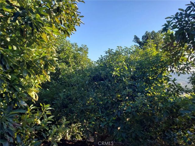 43520 Calle Colina, Temecula, CA 92590