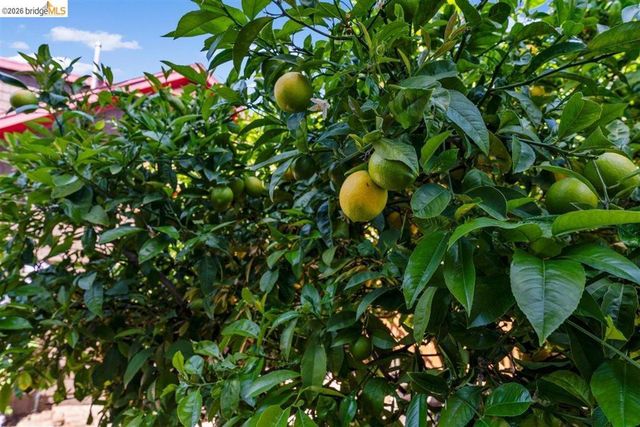 5332 Locksley Ave, Oakland, CA 94618