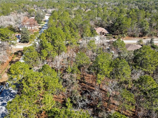 2 Portulaca Court, Homosassa, FL 34446