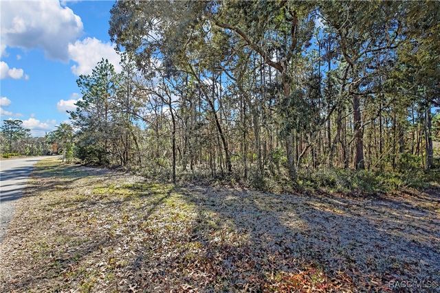 2 Portulaca Court, Homosassa, FL 34446